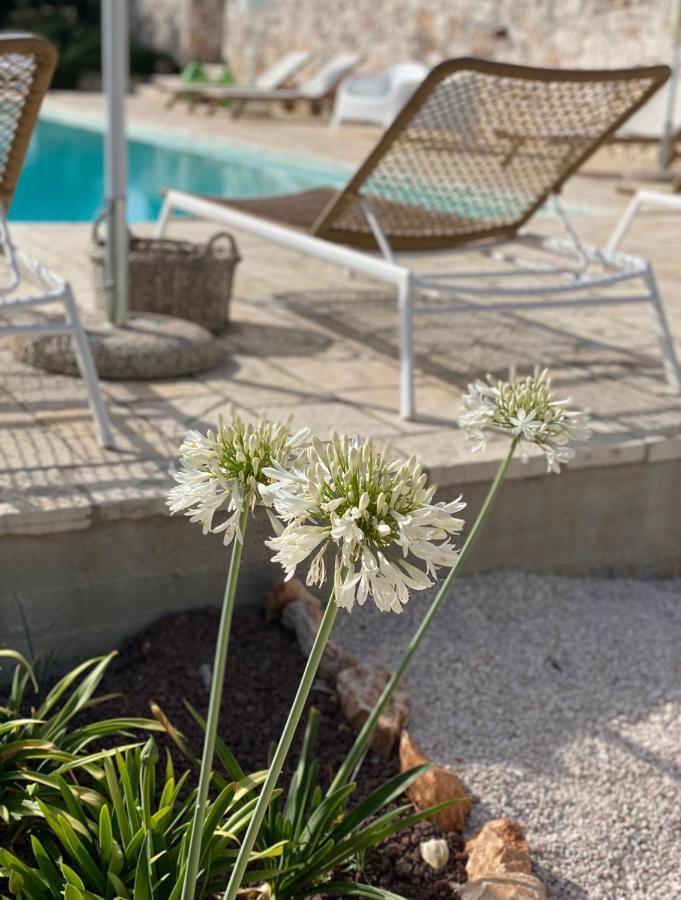 Dimora Le Ginestre Adults Only Bed & Breakfast Fasano Luaran gambar